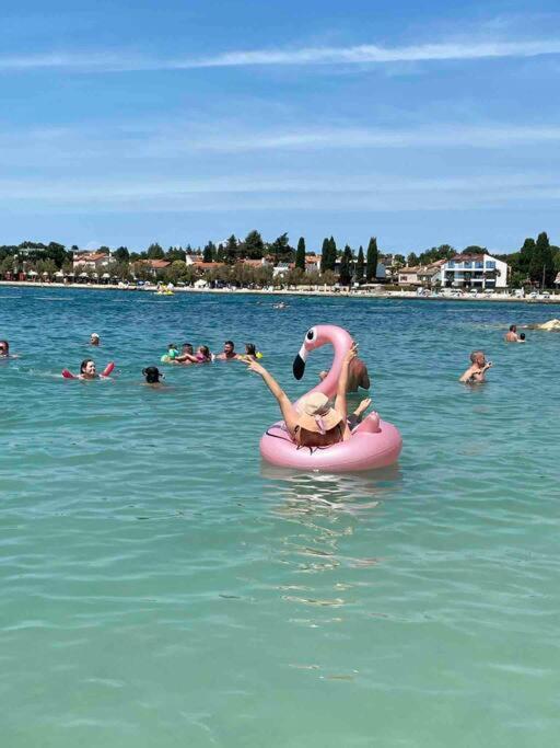 Appartamento Incantevole 300M Dal Mare Lignano Sabbiadoro Ngoại thất bức ảnh